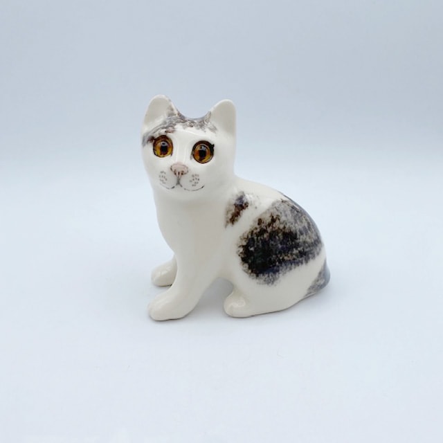 ウィンスタンレイキャット 白黒の手乗りサイズ子猫ちゃん サイズ