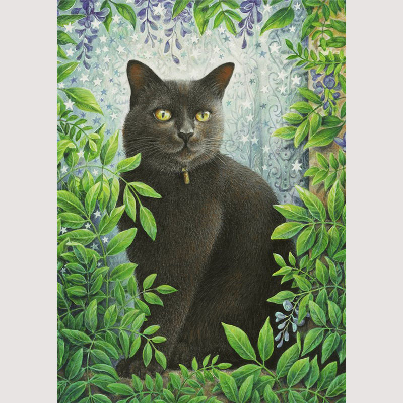 レズリーアンアイボリー 猫の輸入グリーティングカード封筒付 Starlight at home