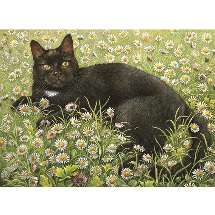 レズリーアンアイボリー 猫の輸入グリーティングカード封筒付　Gabrielle in daisies