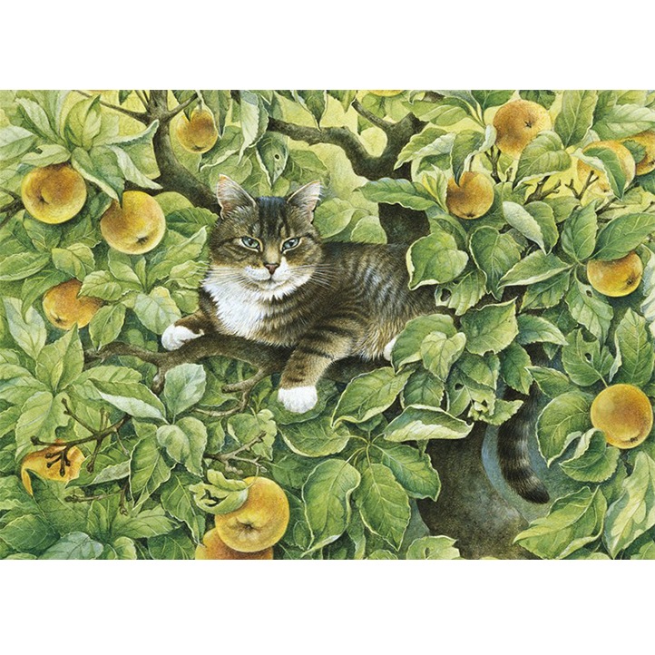 レズリーアンアイボリー 猫の輸入グリーティングカード封筒付　Gemma in the apple tree