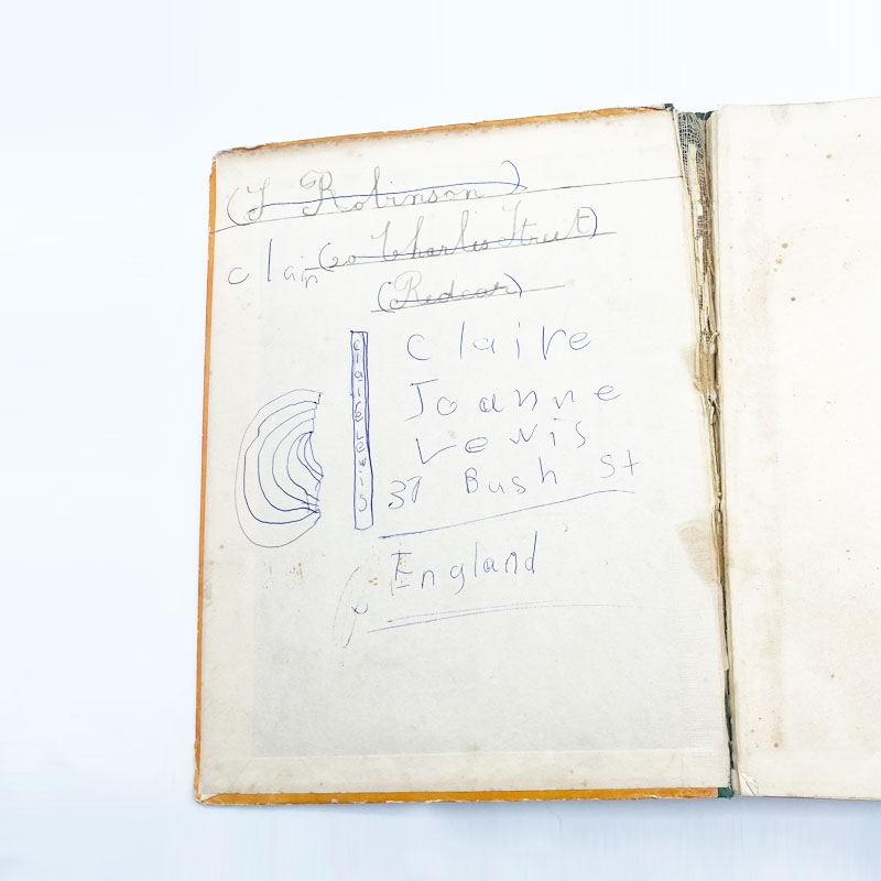 ルイスウェイン アンティーク本 IN NURSERYLAND WITH LOUIS WAIN 1910年発行 児童書