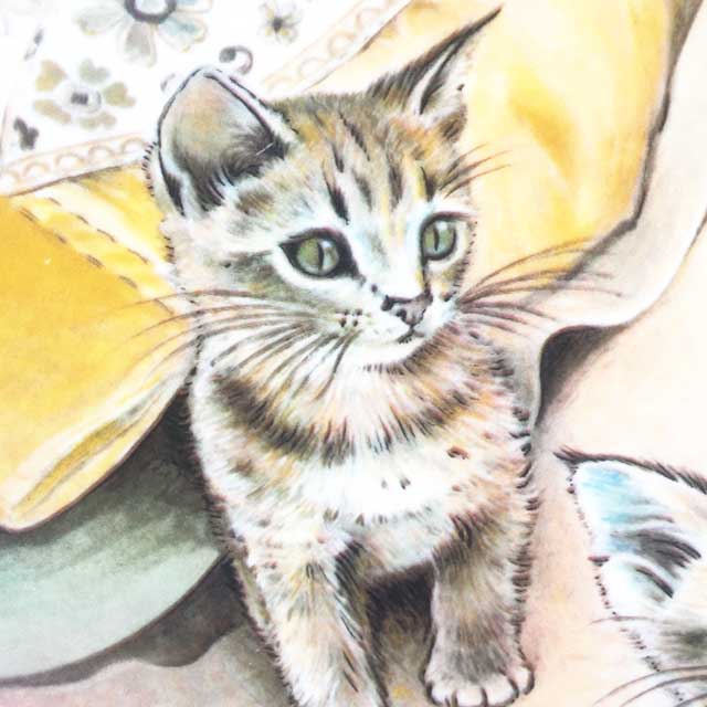 ロイヤルウースター アビシニアン 猫の親子の絵皿 ABYSSINIANS