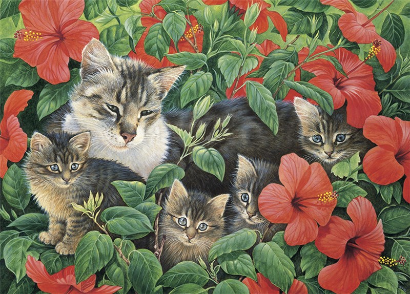 レズリーアンアイボリー 猫の輸入グリーティングカード封筒付　Mother and kittens in Hibiscus