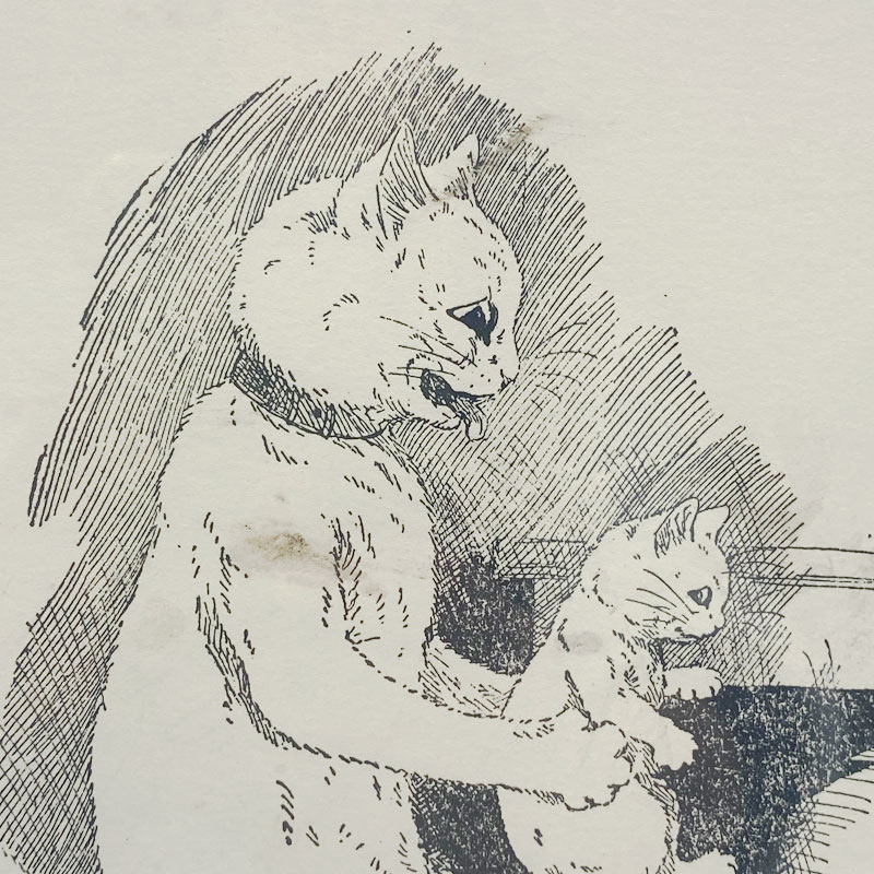 ルイスウェイン Louis Wain 親子猫のアンティークプリント 1900初期頃 額装済