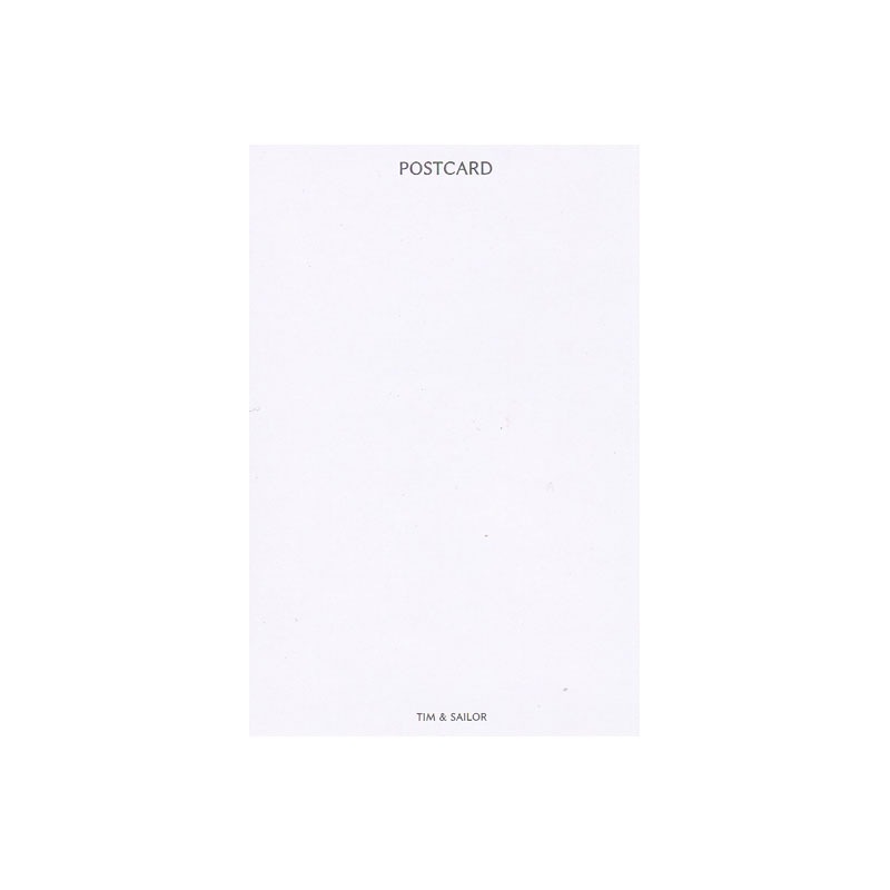 ヴィクトリアンキャットの猫のポストカード ヘレナ・マグワイア TIM & SAILOR オリジナル