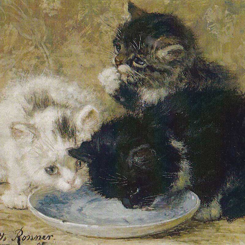 Henriette Ronner-Knip
