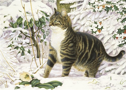 レズリーアンアイボリー 猫の輸入グリーティングカード封筒付 Malteaser in the snow