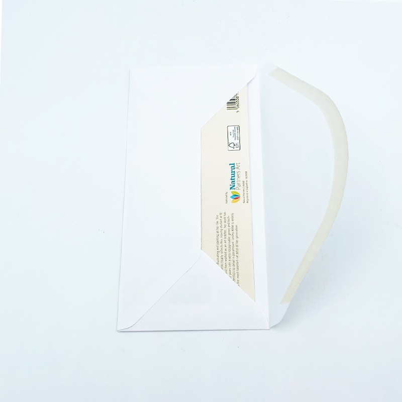 レズリーアンアイボリー 猫の輸入グリーティングカード封筒付　Chesterton, Twiglet and Gemma on rooftops