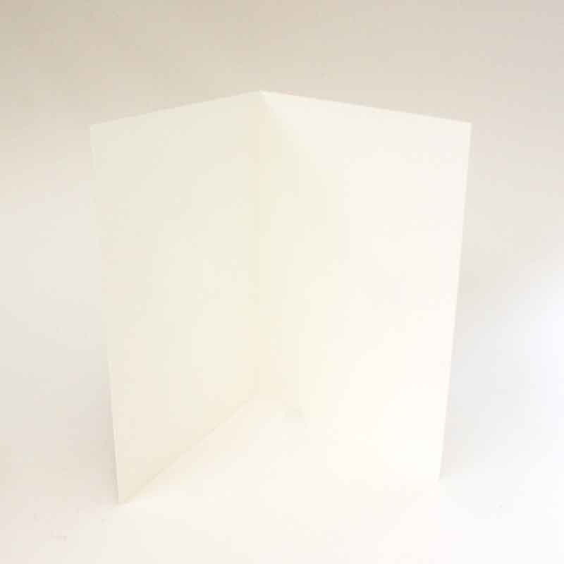 レズリーアンアイボリー 猫の輸入グリーティングカード封筒付 Truffle and Fudge with Christmas lights