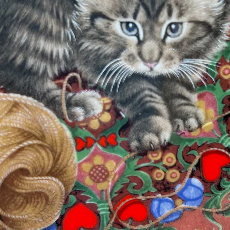 エインズレイ レズリー・アン・アイボリー猫の絵皿 Meet My Kittens 2月ラスキン