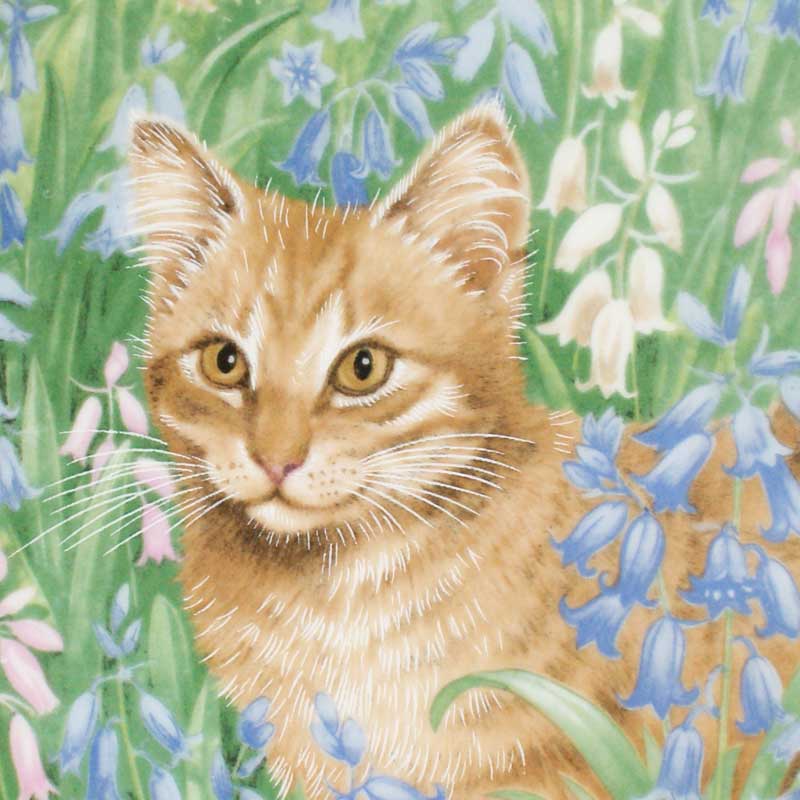 エインズレイ レズリー・アン・アイボリー猫の絵皿 Meet My Kittens 3月スピロ