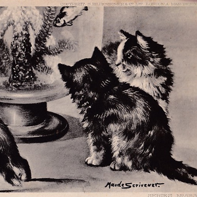 猫と水槽のアンティークポストカード　Maude Scrivener 1904年消印
