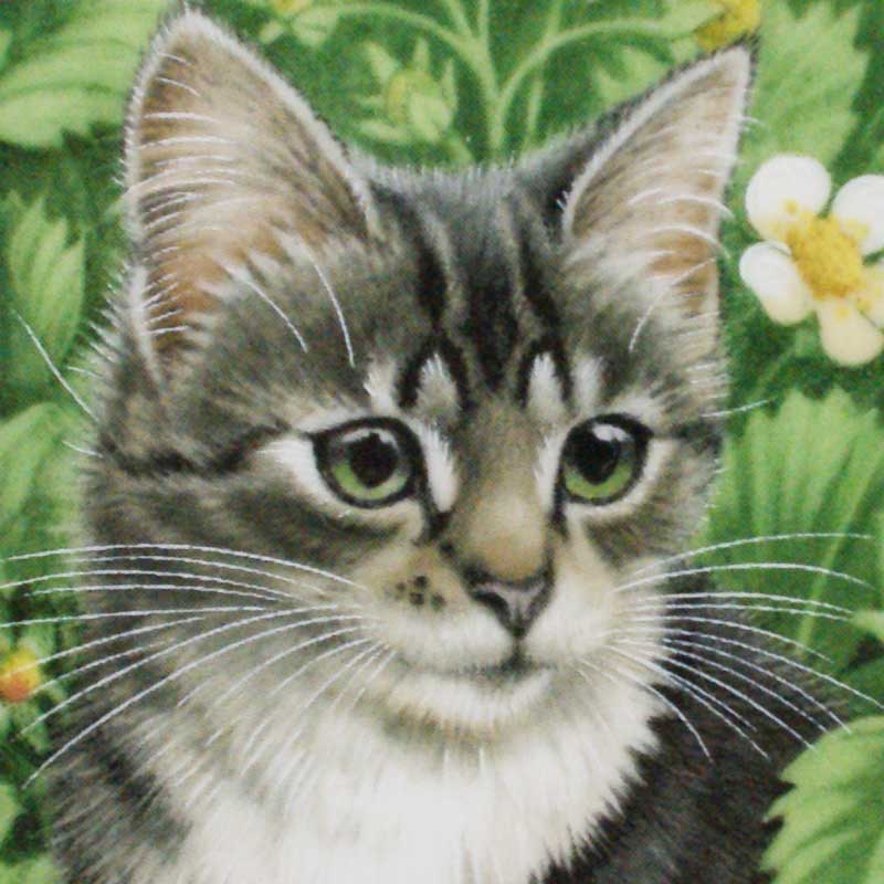 エインズレイ レズリー・アン・アイボリー猫の絵皿 Meet My