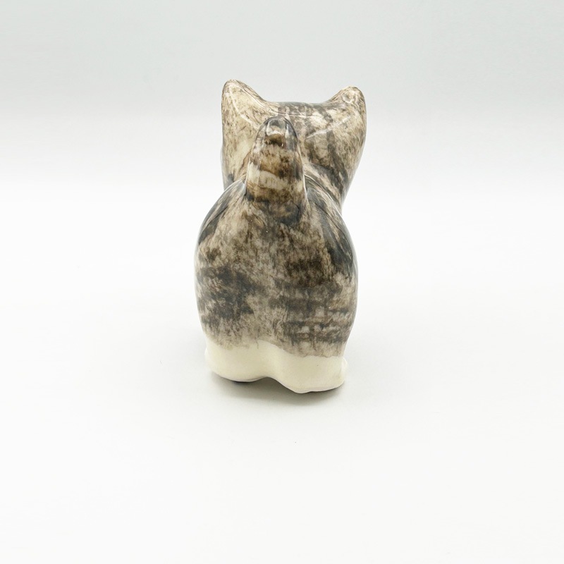 サイズ「2」　ウィンスタンレイキャット　ケンジントンキャット　サバトラ仔猫 ウィンスタンレイキャット サバトラ白猫 スタンダードスタイル