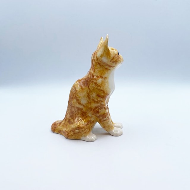 ウィンスタンレイキャット 青い目の茶トラ白猫ちゃん　サイズ2  Winstanley cat