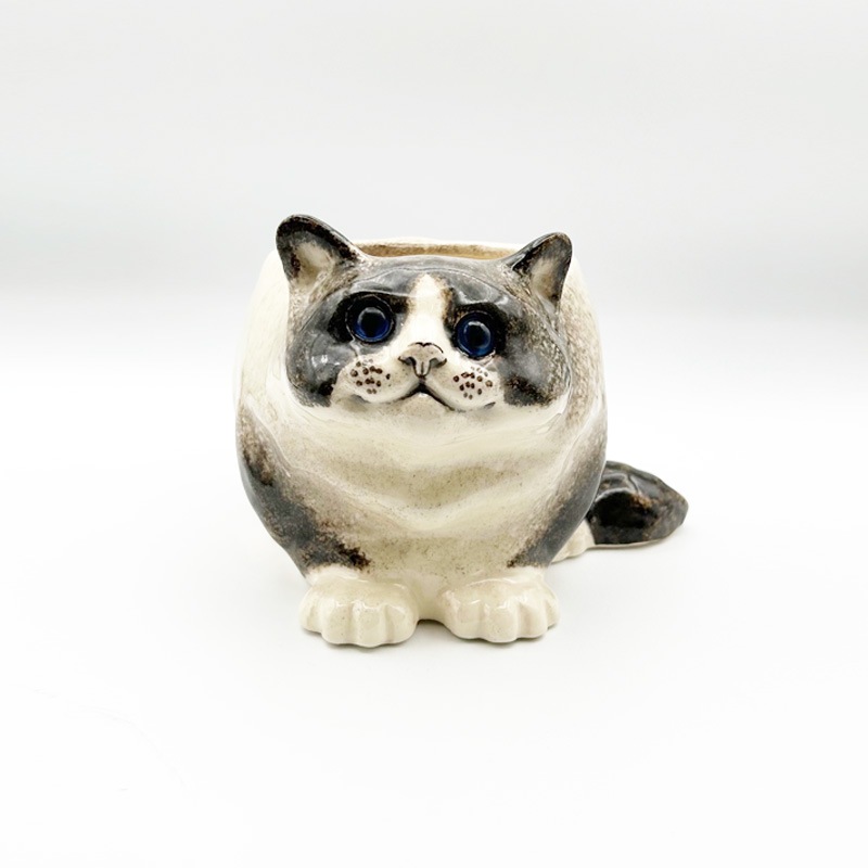 ウィンスタンレイキャット フラワーポット型のハチワレシャム猫 サイズ4 ケンジントンキャット　