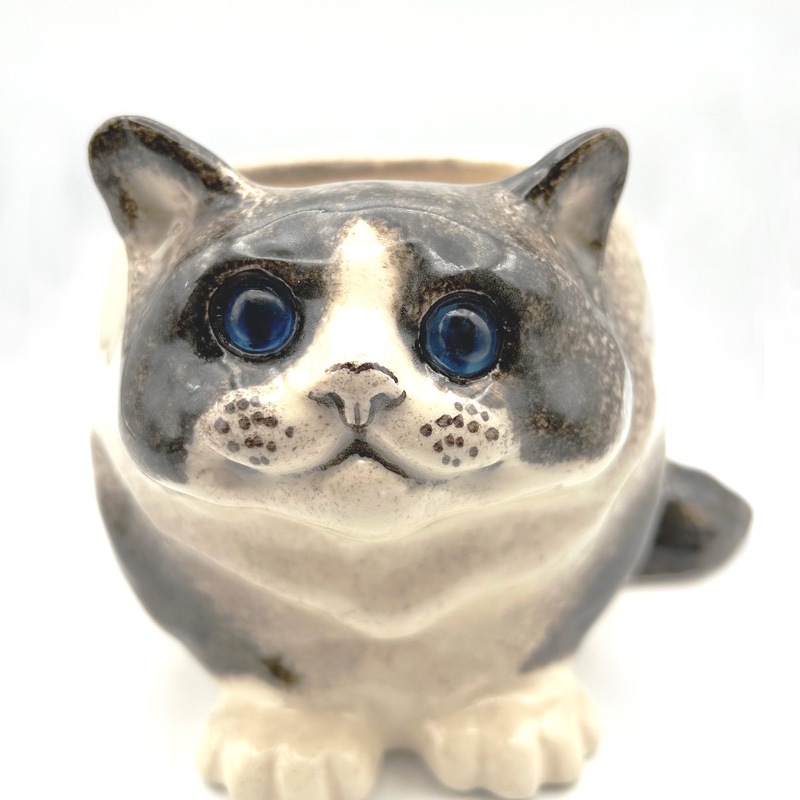 ウィンスタンレイキャット フラワーポット型のハチワレシャム猫 サイズ4 ケンジントンキャット　