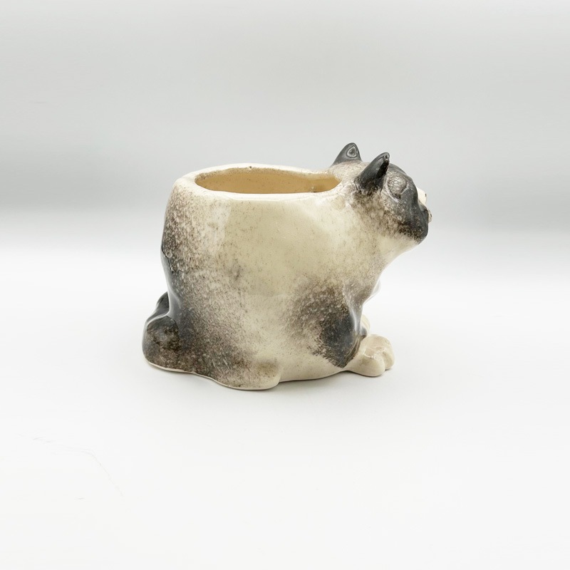 ウィンスタンレイキャット フラワーポット型のハチワレシャム猫 サイズ4 ケンジントンキャット　