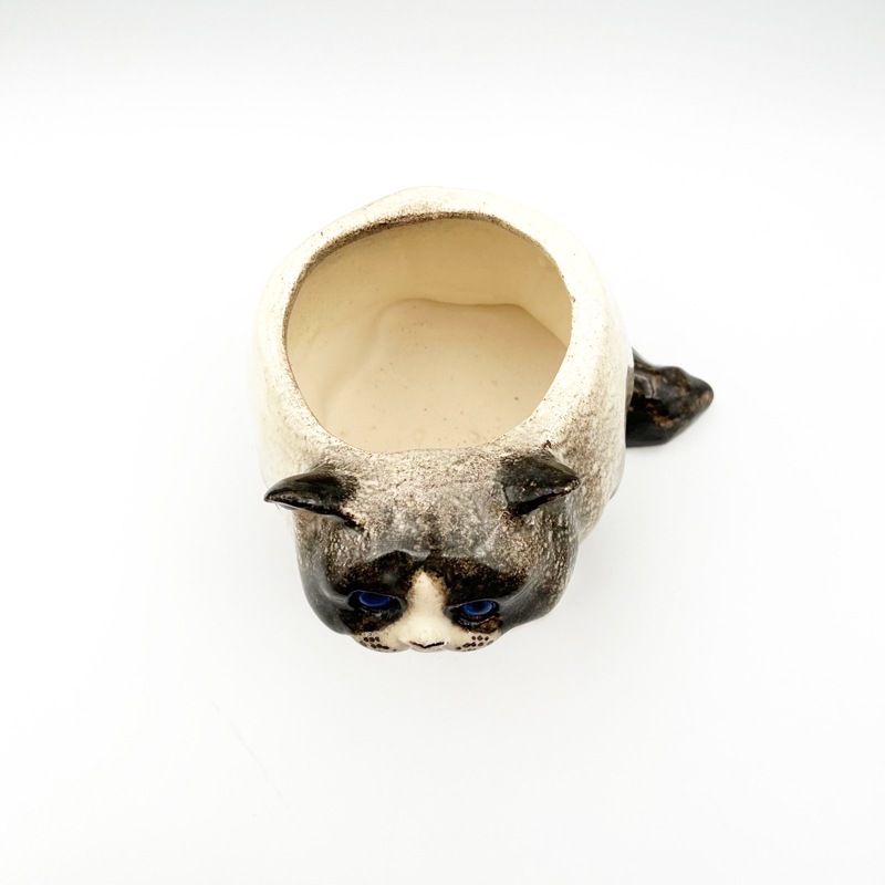 ウィンスタンレイキャット フラワーポット型のハチワレシャム猫 サイズ4 ケンジントンキャット　