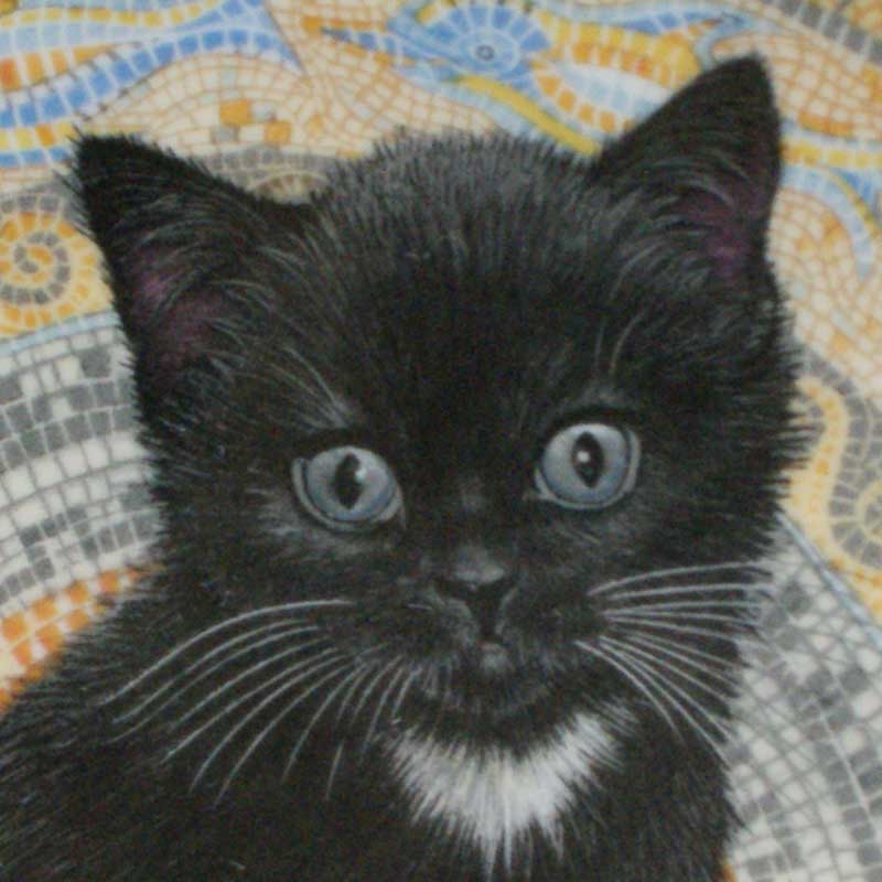 エインズレイ レズリー・アン・アイボリー猫の絵皿 Meet My Kittens 9月ガブリエル