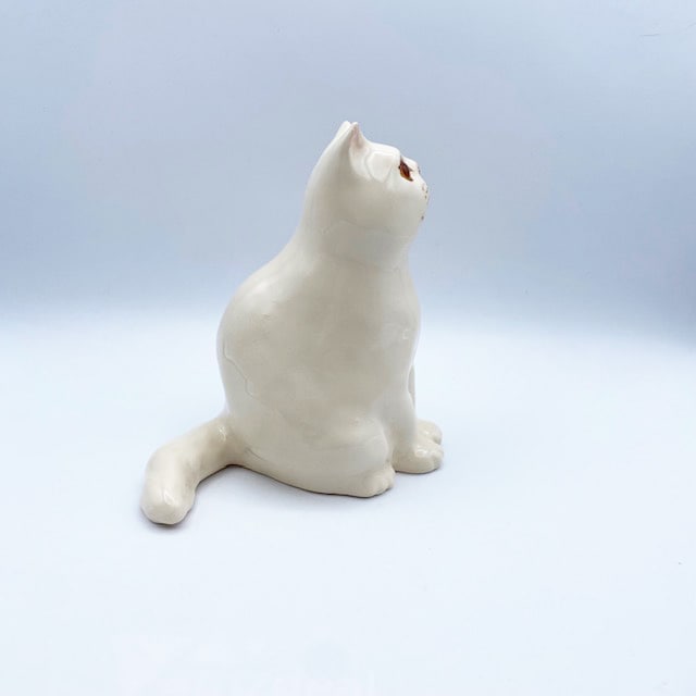 ウィンスタンレイキャット オッドアイのスコティッシュの白猫