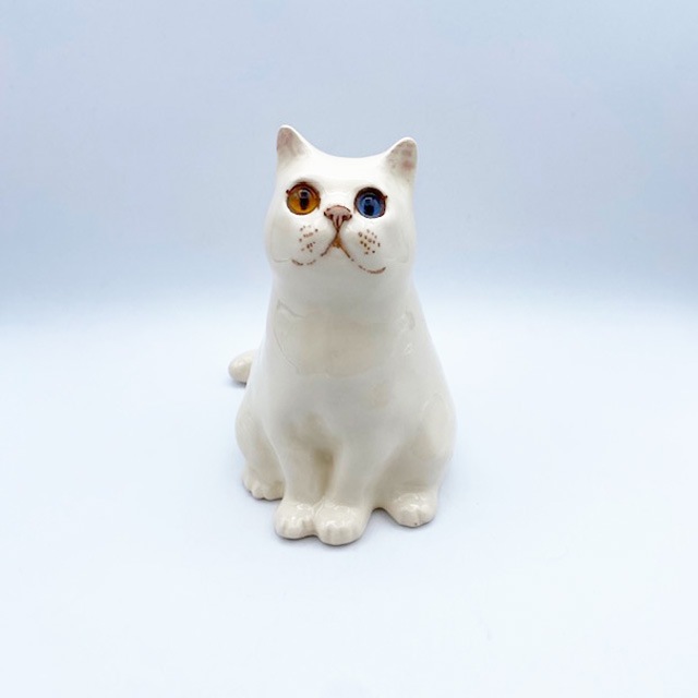 希少 ウィンスタンレイキャット オッドアイ 白猫 サイズ3 ウィンスタンレイキャット オッドアイの白猫 サイズ3 ケンジントン