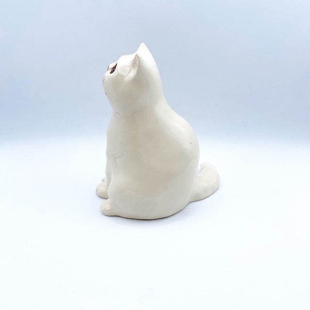 ウィンスタンレイキャット オッドアイのスコティッシュの白猫