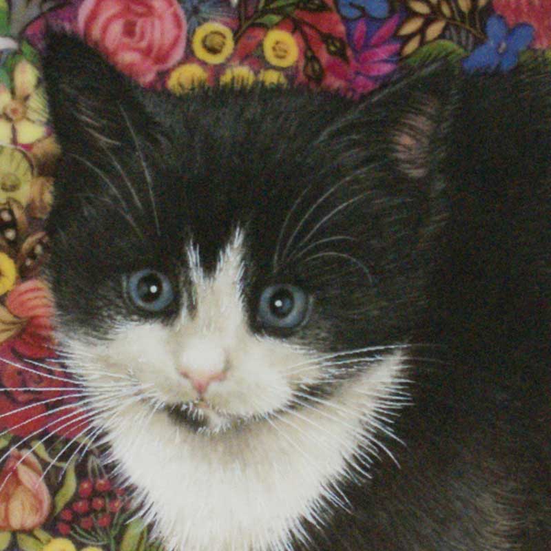 エインズレイ レズリー・アン・アイボリー猫の絵皿 Meet My Kittens 10月チェスタートン