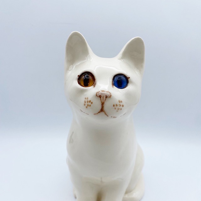 ウィンスタンレイキャット オッドアイのお座り白猫 サイズ3 ケンジントンキャット