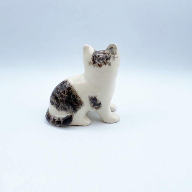 ウィンスタンレイキャット 白黒の手乗りサイズ子猫ちゃん サイズ1