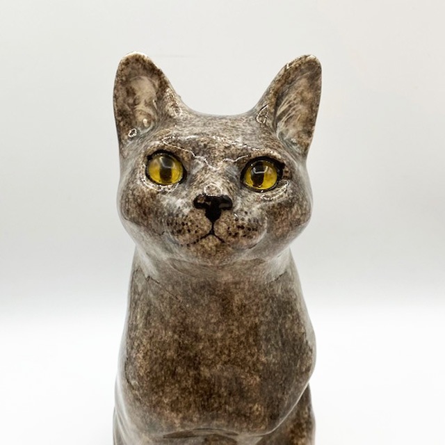 ウィンスタンレイキャット　ライフサイズのグレイ・ブルーキャット　サイズ5