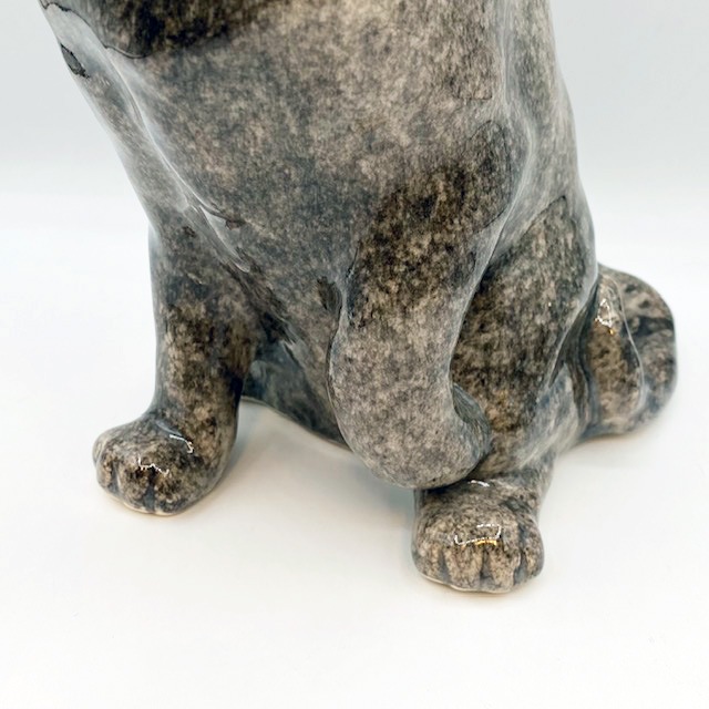 ウィンスタンレイキャット　ライフサイズのグレイ・ブルーキャット　サイズ5