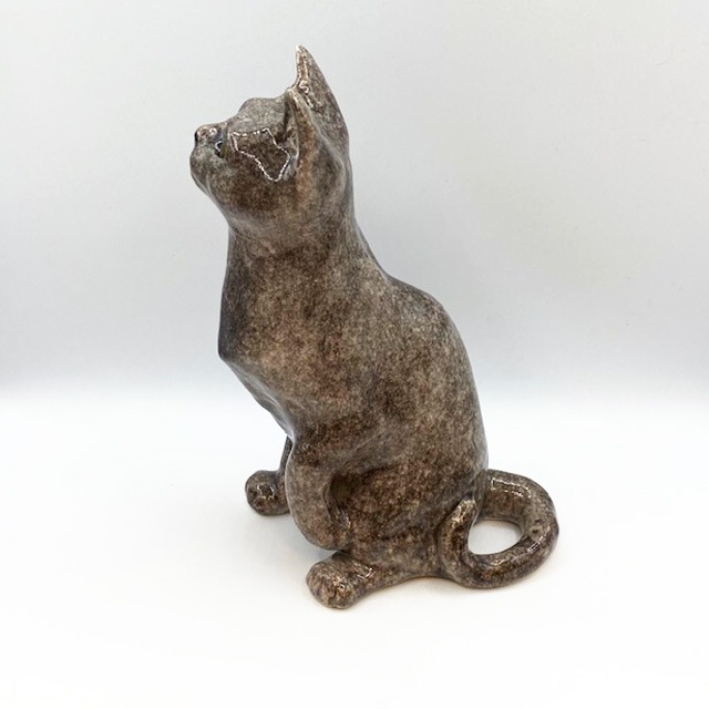 ウィンスタンレイキャット　ライフサイズのグレイ・ブルーキャット　サイズ5