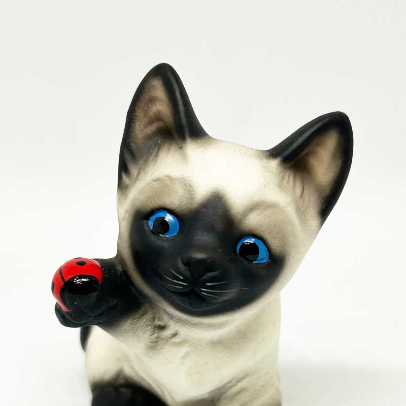 Harvery Knox ハーベイノックス テントウムシとシャム猫の