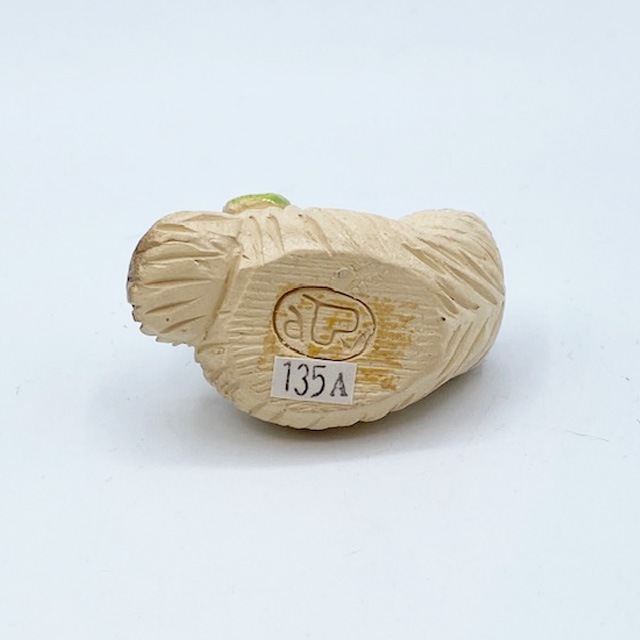 DeRosa デ・ローザコレクション　手のサイズの靴下をくわえる猫　アーテサニア・リンコナダ