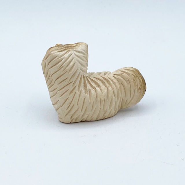 DeRosa デ・ローザコレクション　手のサイズの靴下をくわえる猫　アーテサニア・リンコナダ