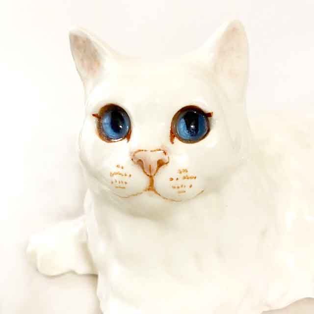 ウィンスタンレイキャット 青い瞳の白ペルシャ サイズ4