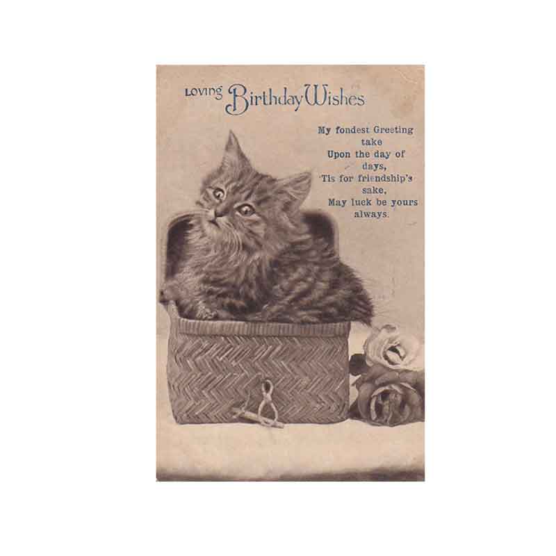 籠に入ったキジトラ子猫ちゃんのアンティークバースディカード　1919年消印