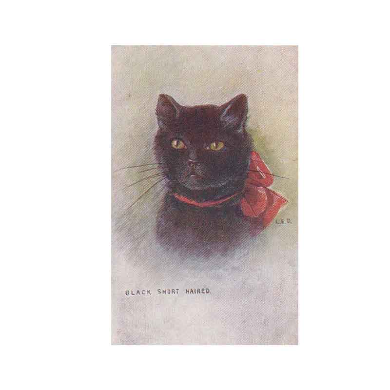 赤いリボンのブリティッシュショートヘアの黒猫ちゃんのアンティークポストカード L.E.D.　1919年消印