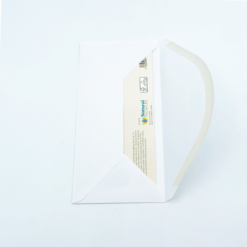 レズリーアンアイボリー 猫の輸入グリーティングカード封筒付 Angel, Blossom and Dandelion