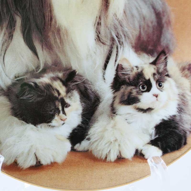 正規品タロットカード】ルネサンス絵画のようなロイヤルな猫と犬