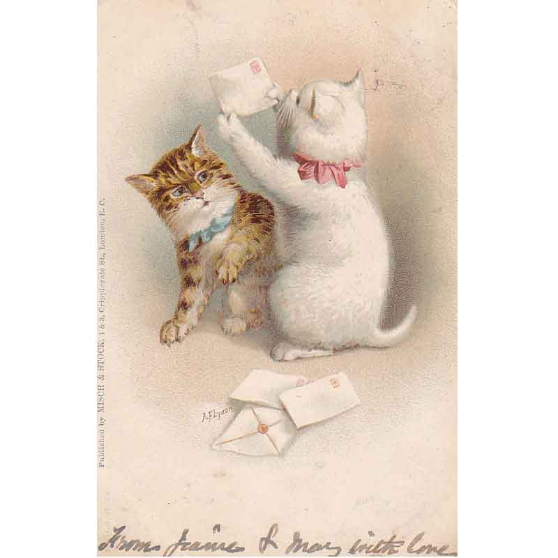 手紙が気になる2匹の猫のアンティークポストカード AF.Lydon 1904年消印