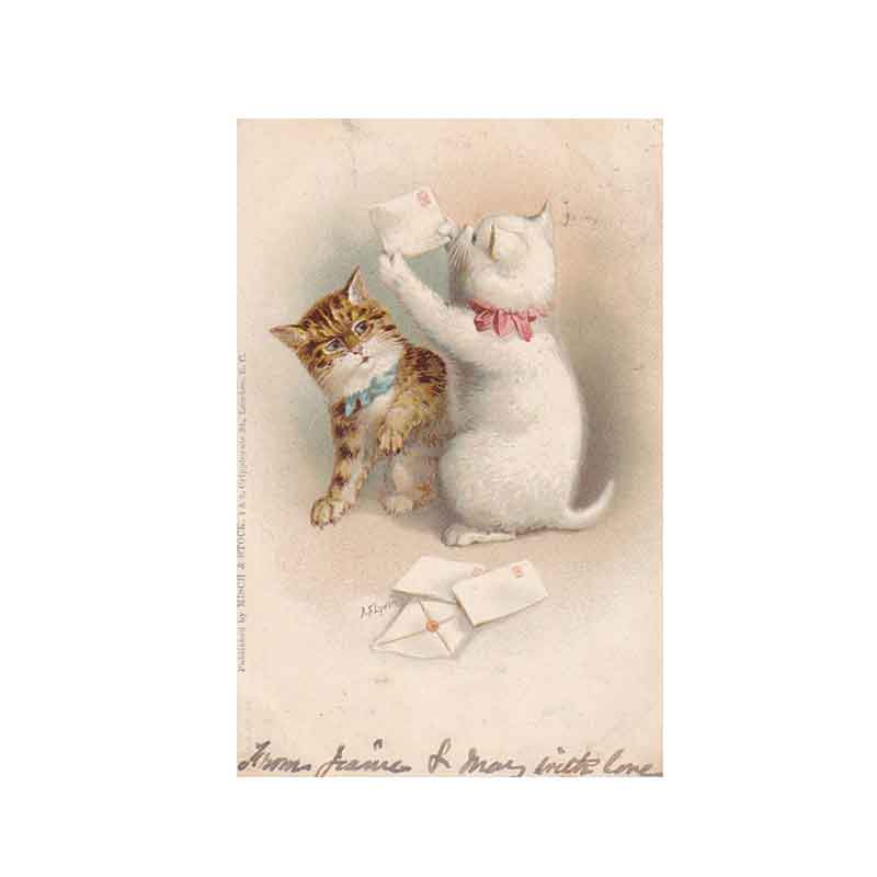 フェルディナン・デスノス、赤い傘の下の猫、希少画集画、新品額装付、状態良好 フェルディナン・デスノス、赤い傘の下の猫、希少画集画、新