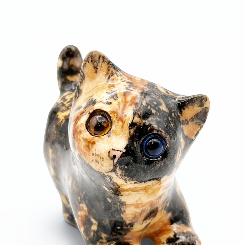 ウィンスタンレイキャット キメラ柄オッドアイ　サビ猫ちゃん 人気のフォルム　サイズ1 ケンジントンキャット