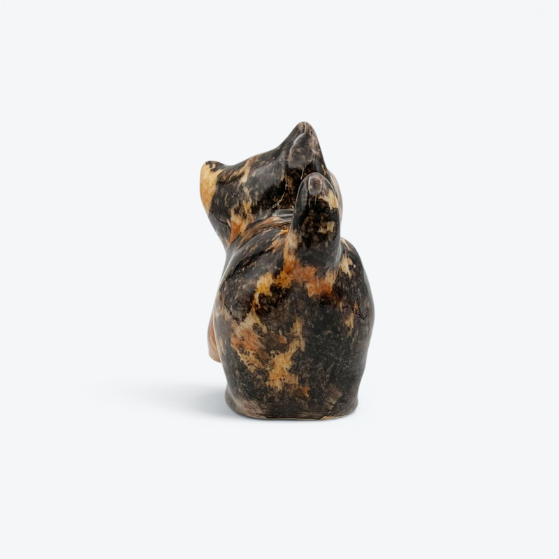 ウィンスタンレイキャット キメラ柄オッドアイ　サビ猫ちゃん 人気のフォルム　サイズ1 ケンジントンキャット