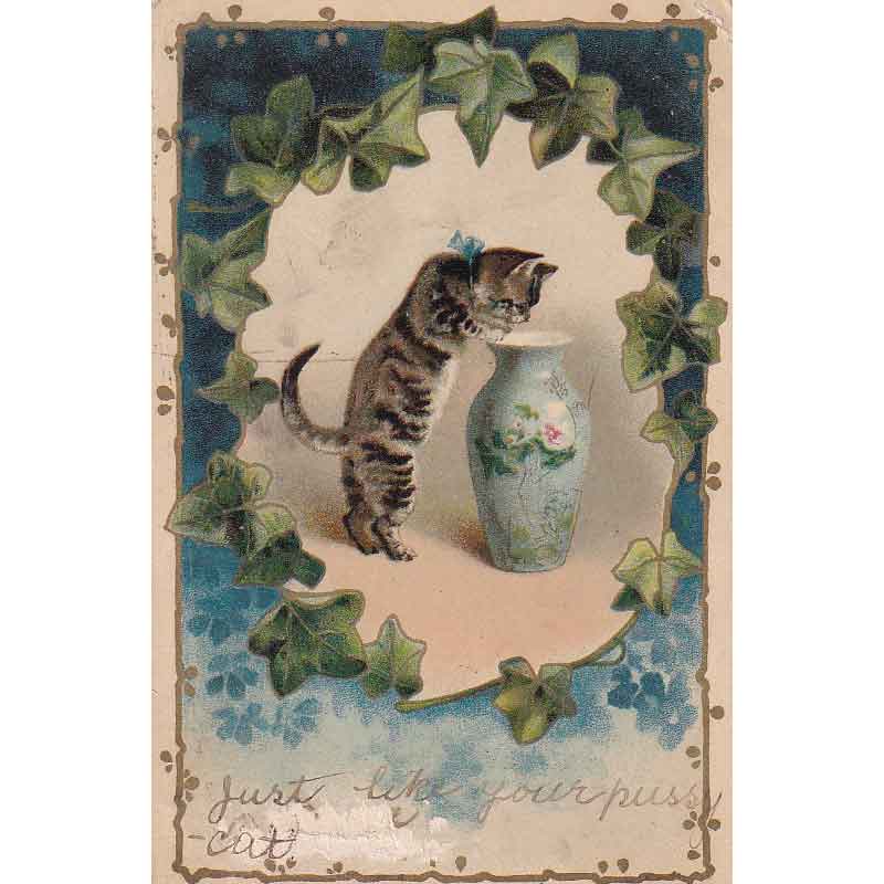 壺を覗く子猫のイラストのポストカード ヘレナ・マグワイア? 1900年代初期