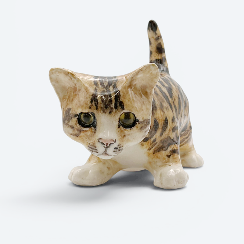 ウィンスタンレイキャット ベンガル風スポッテッドタビーキャット サイズ3 ケンジントンキャット