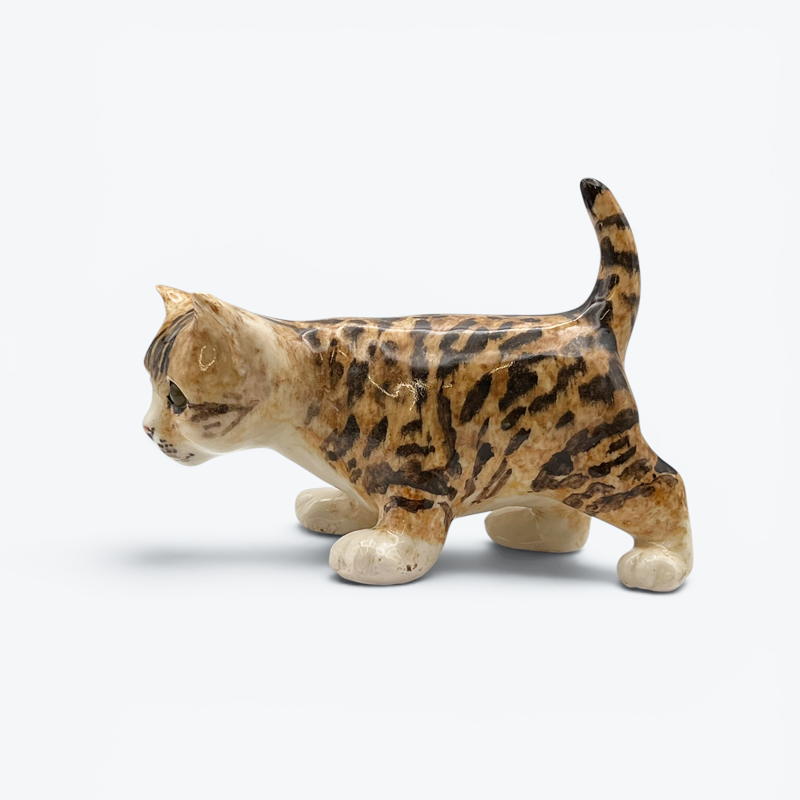 ウィンスタンレイキャット ベンガル風スポッテッドタビーキャット サイズ3 ケンジントンキャット