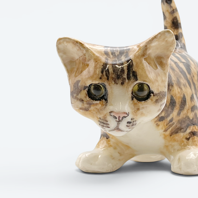 ウィンスタンレイキャット ベンガル風スポッテッドタビーキャット サイズ3 ケンジントンキャット