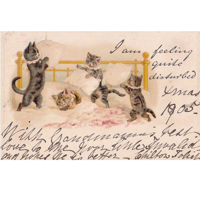 枕投げする猫のアンティークポストカード 1905年 ヘレナ・マグイア